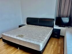 The Vision (D5), Condominium #543260981